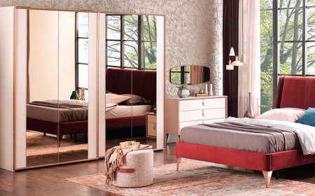 Шкаф купе Netha 210