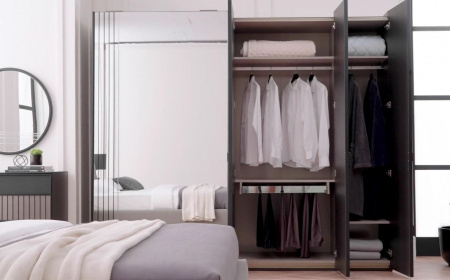 Шкаф купе Riga (220) 