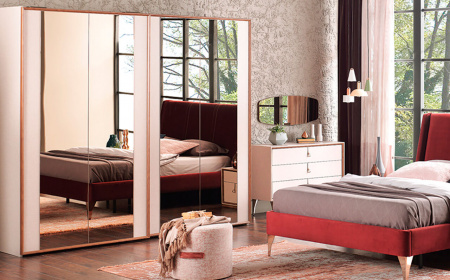 Шкаф купе Netha 260